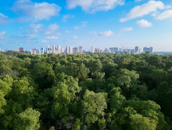 Portage salarial un tremplin pour les créateurs d'entreprise