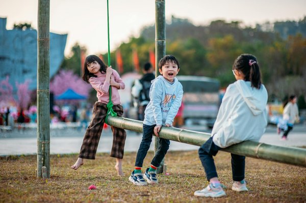 Les Documentaires Indispensables : Le Classement Suprême à Ne Pas Manquer